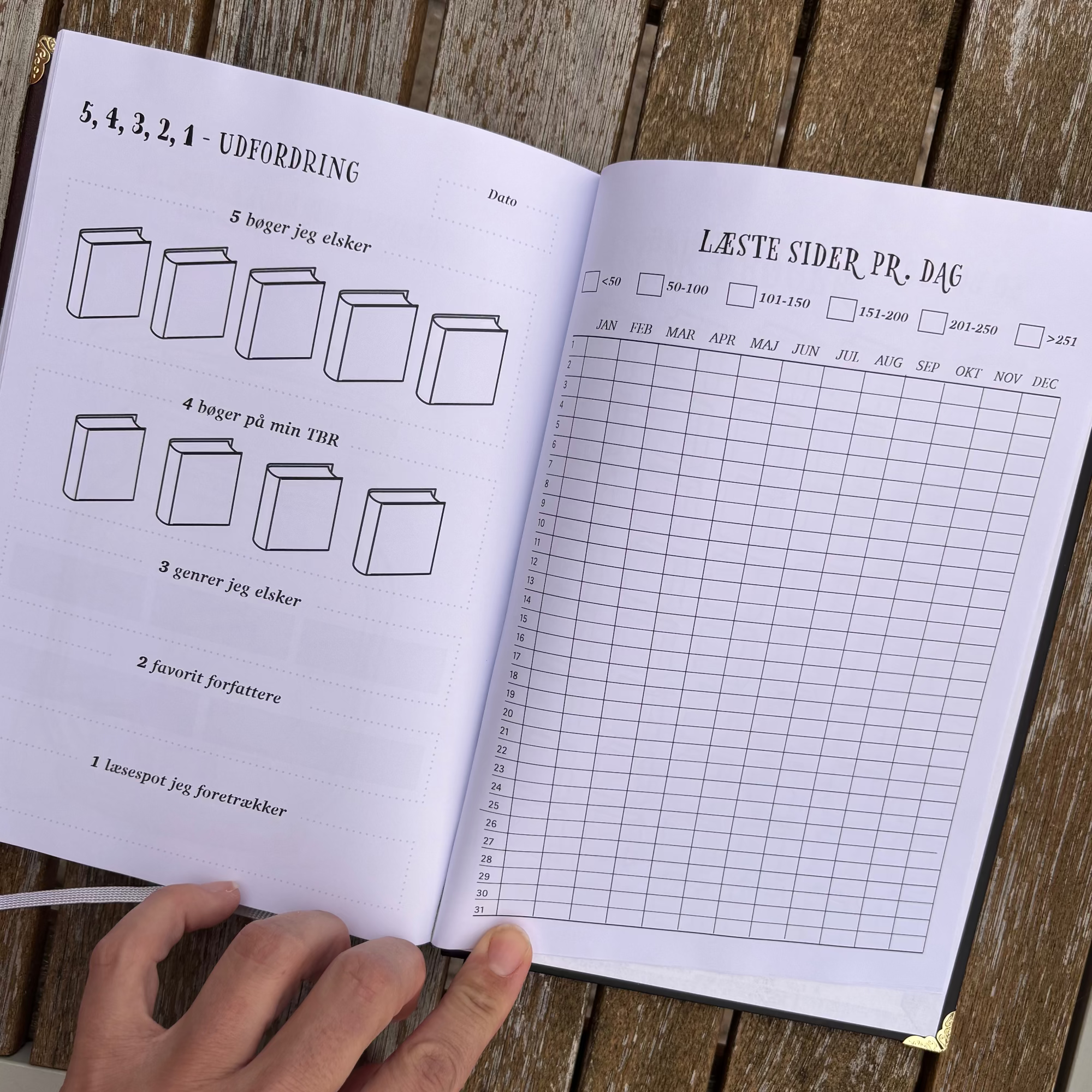 Min Læsejournal (DK) - Lilla Drage