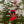 Translation missing: da.products.product.gallery_thumbnail_alt
