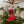 Translation missing: da.products.product.gallery_thumbnail_alt
