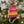 Translation missing: da.products.product.gallery_thumbnail_alt
