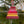 Translation missing: da.products.product.gallery_thumbnail_alt
