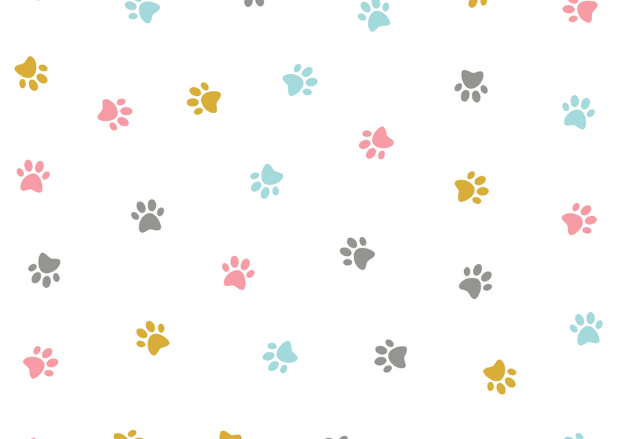 Postkort - Paws