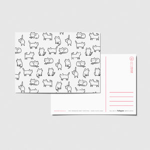 Postkort - Cats